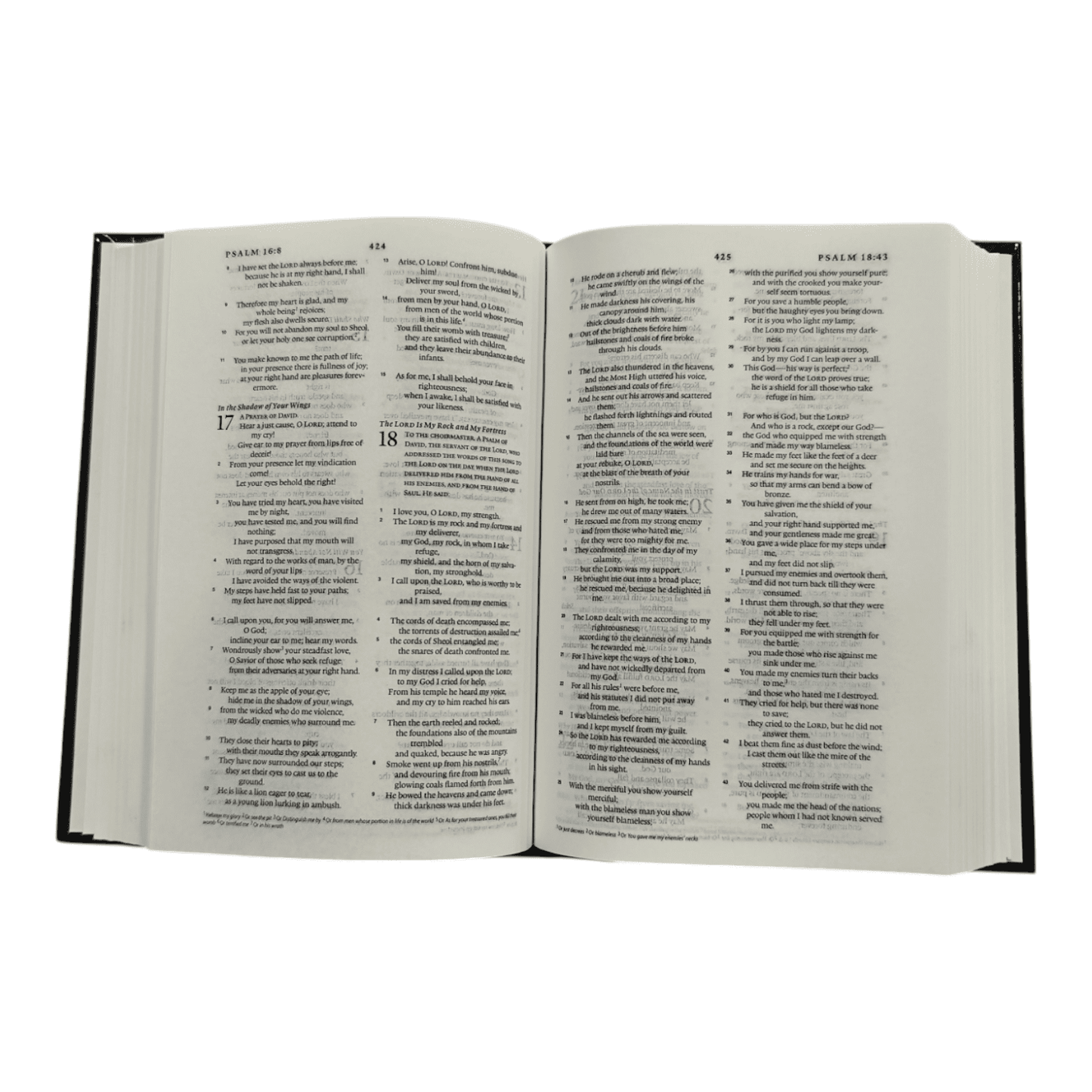 ESV Compact Bible, Black Bonded Leather - Portable English Standard Version Holy Bible for On-the-Go Reading and Study (ISBN: 9780564037131)