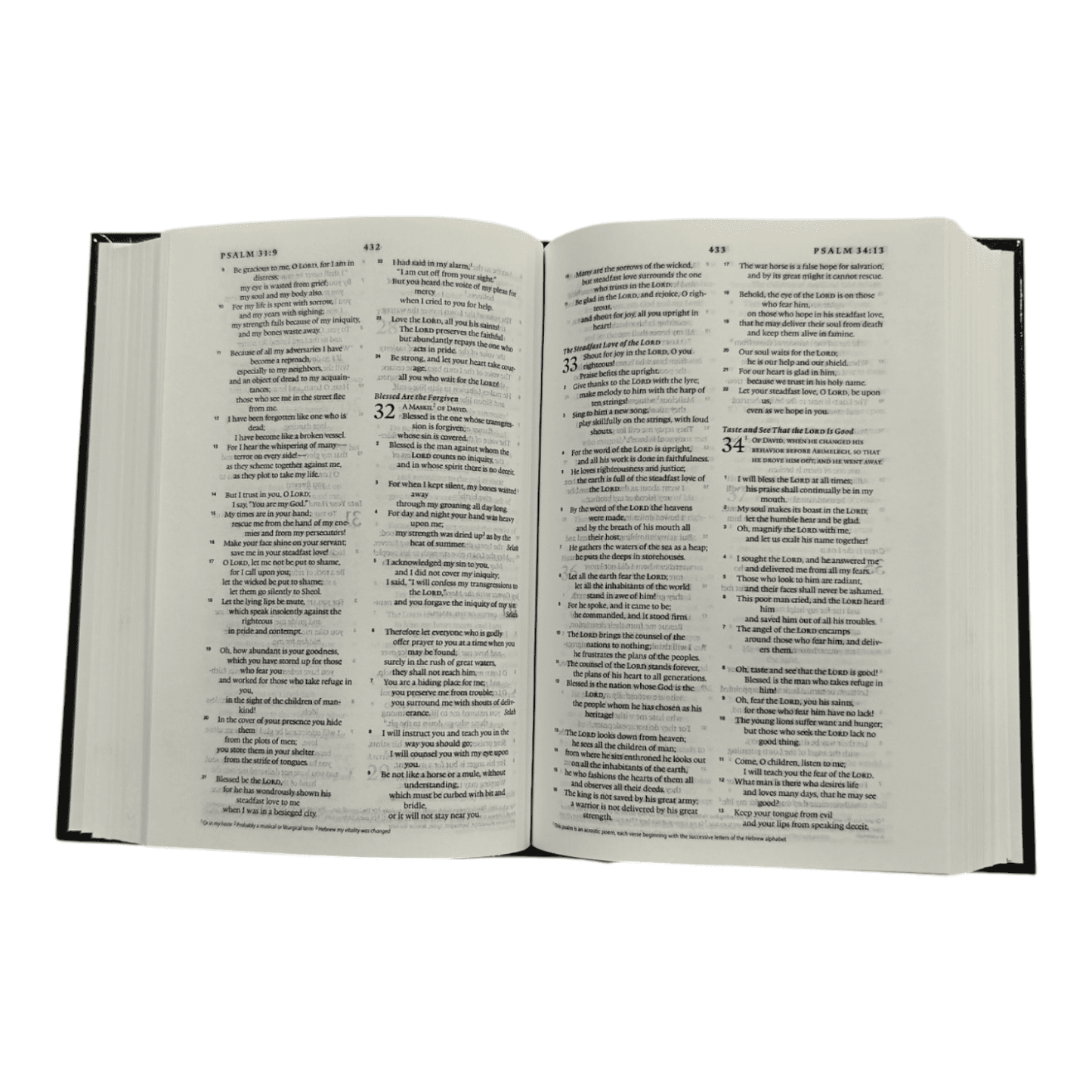 ESV Compact Bible, Black Bonded Leather - Portable English Standard Version Holy Bible for On-the-Go Reading and Study (ISBN: 9780564037131)