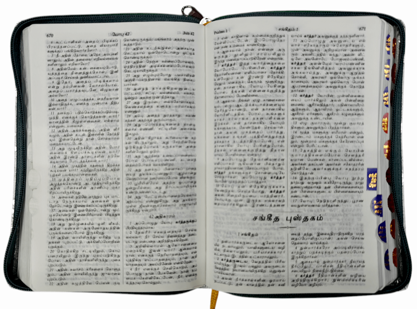 Tamil Christian Wedding Bible: Sacred Union Gift Edition (Highlights purpose & giftability)