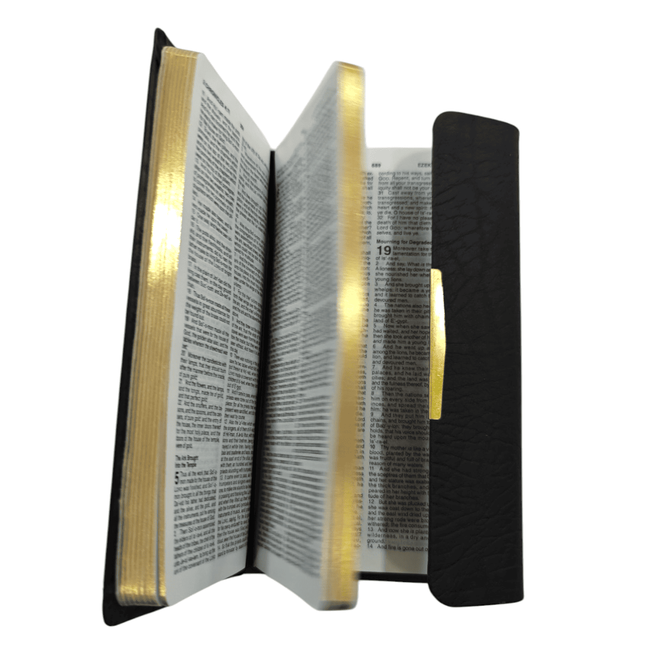 KJV Checkbook Bible, Black Bonded Leather with Snap-Flap Closure - Compact King James Version Holy Bible, Red Letter Edition for Portable Devotion (ISBN: 9780718003272)