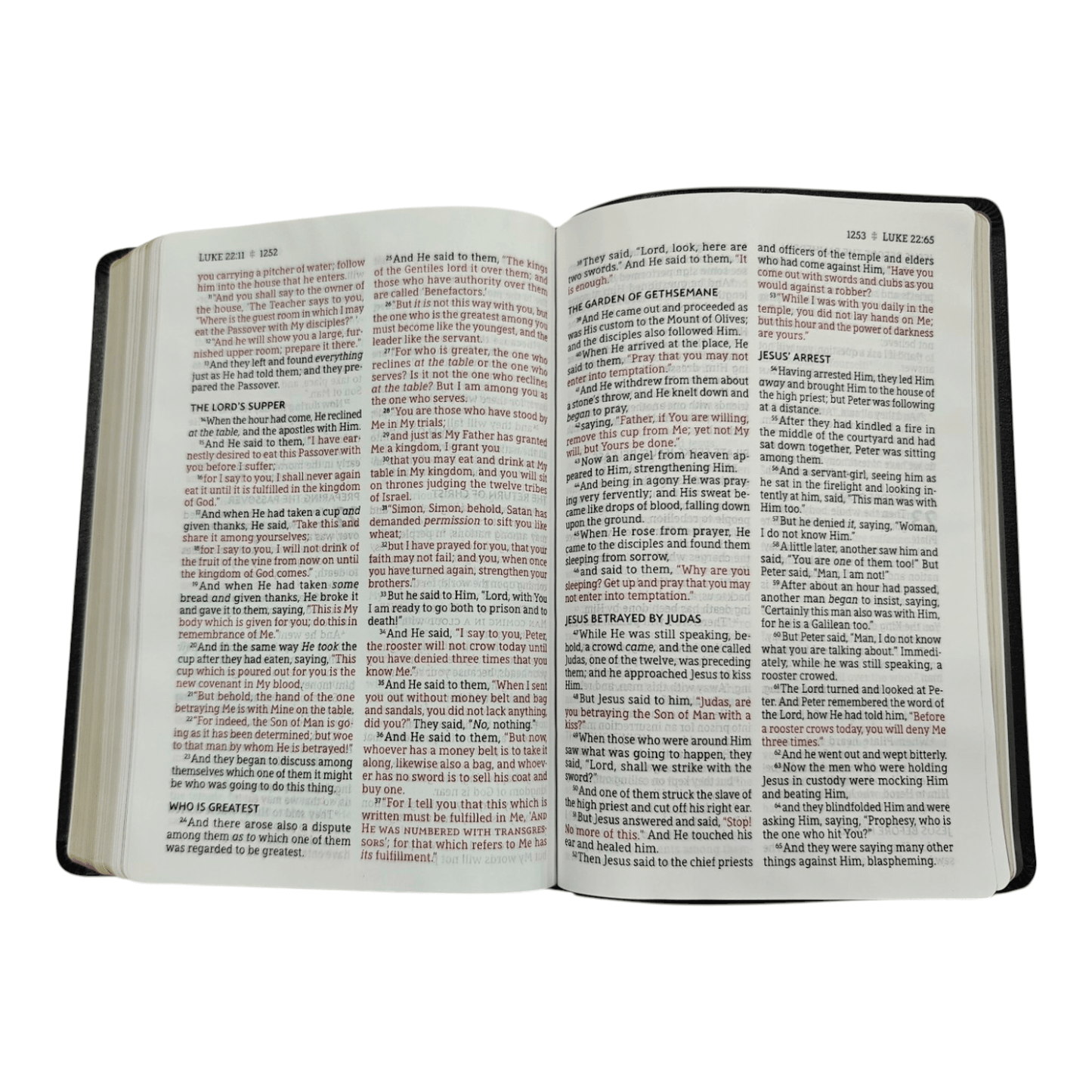NASB Thinline Bible, Giant Print, Bonded Leather Black, Red Letter Edition - Portable New American Standard Bible, 1995 Text, Comfort Print for Easy Reading (ISBN: 9780310451075)