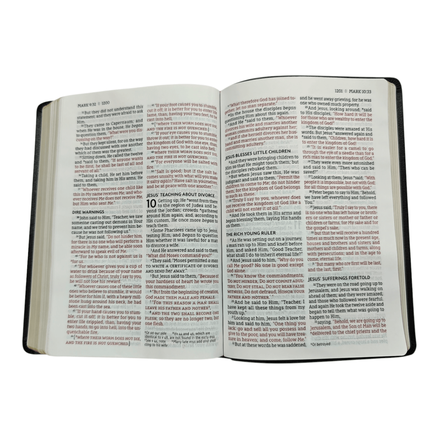 NASB Thinline Bible, Giant Print, Bonded Leather Black, Red Letter Edition - Portable New American Standard Bible, 1995 Text, Comfort Print for Easy Reading (ISBN: 9780310451075)