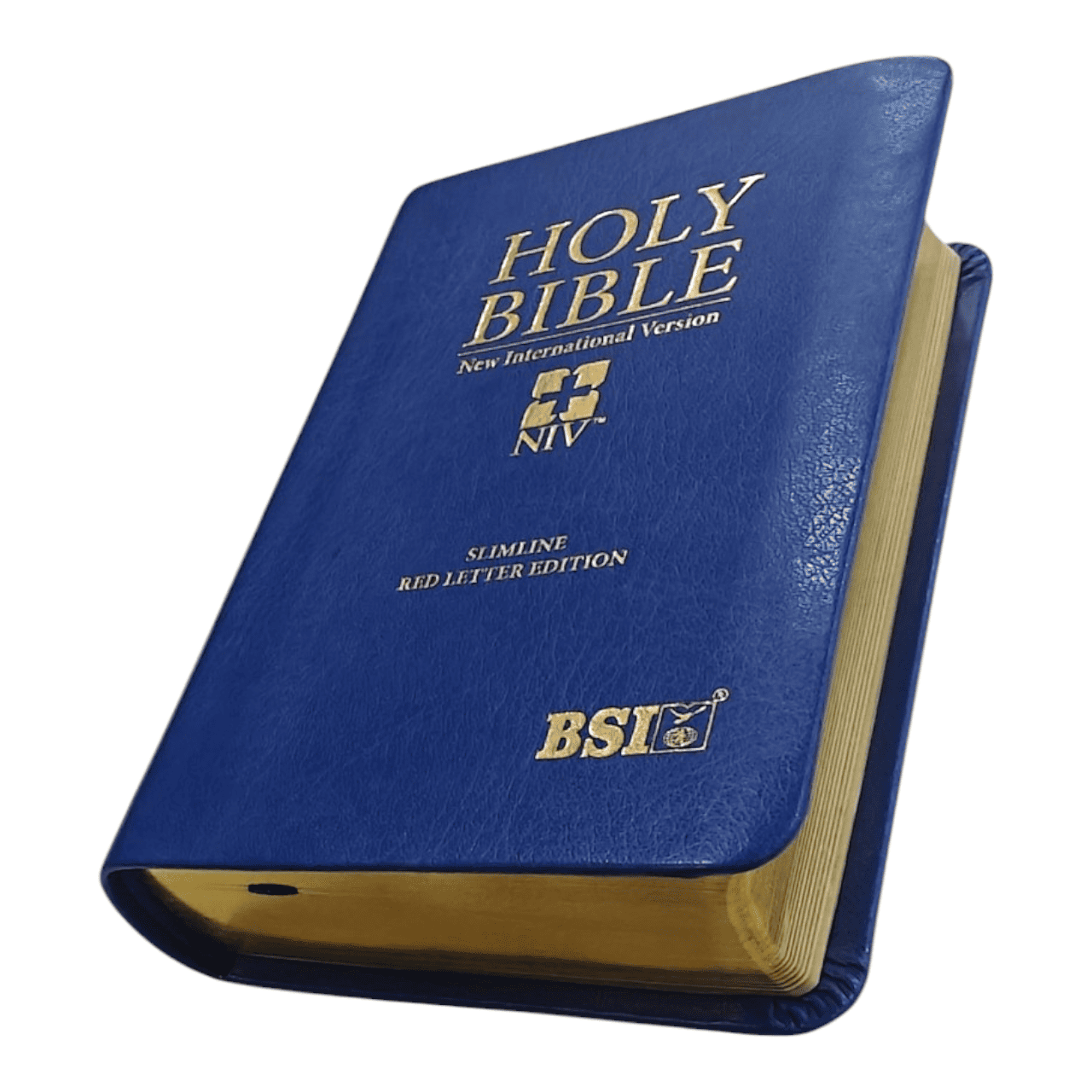NIV Holy Compact Bible, Paperback Black - Portable New International Version Holy Bible for Travel and Daily Devotion (ISBN: 9780866602747)