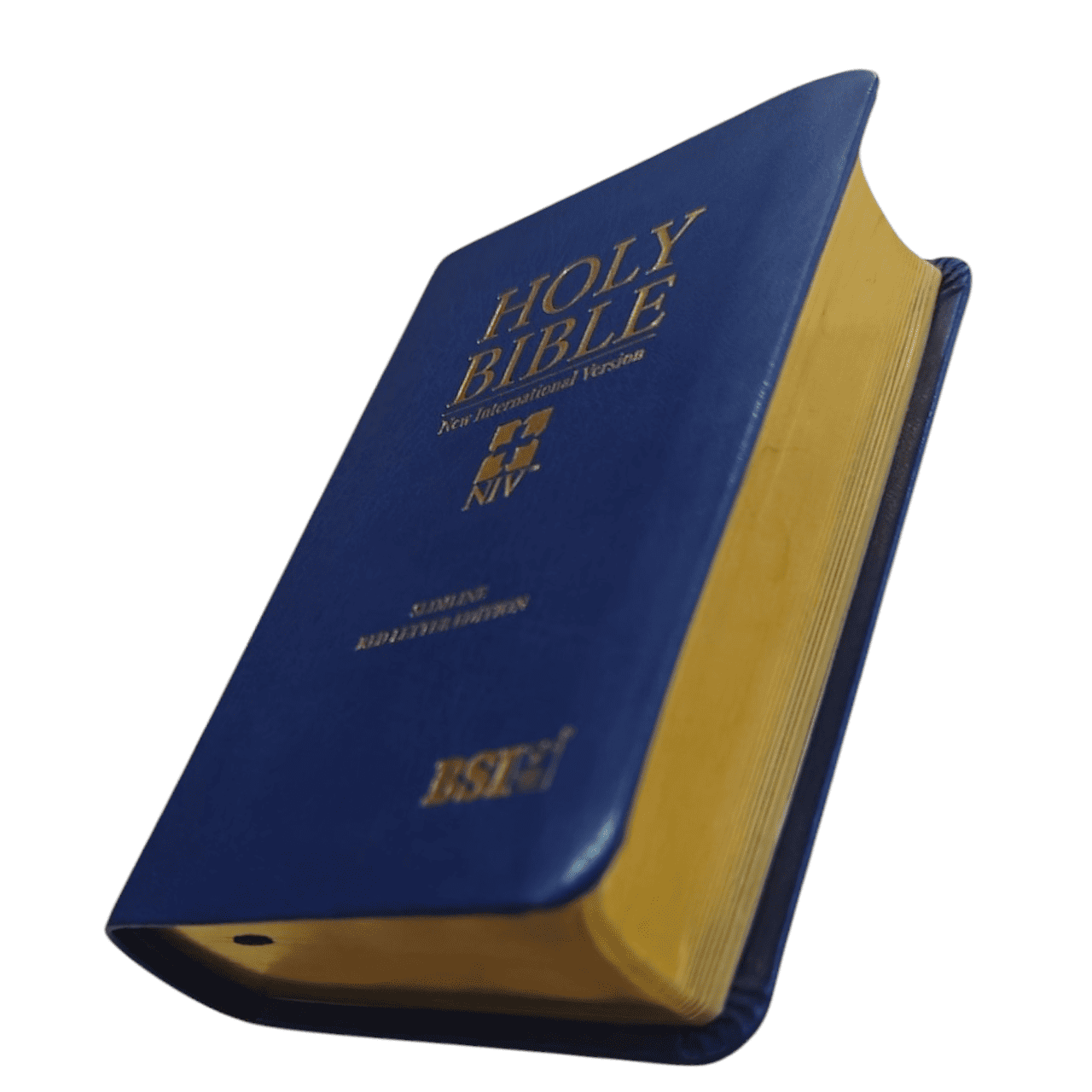 NIV Holy Compact Bible, Paperback Black - Portable New International Version Holy Bible for Travel and Daily Devotion (ISBN: 9780866602747)