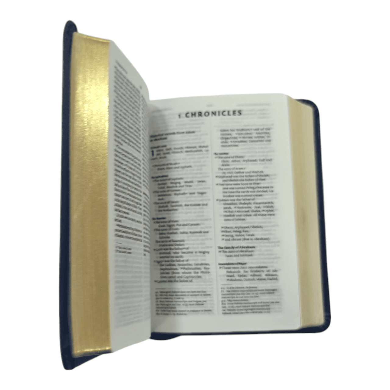 NIV Holy Compact Bible, Paperback Black - Portable New International Version Holy Bible for Travel and Daily Devotion (ISBN: 9780866602747)