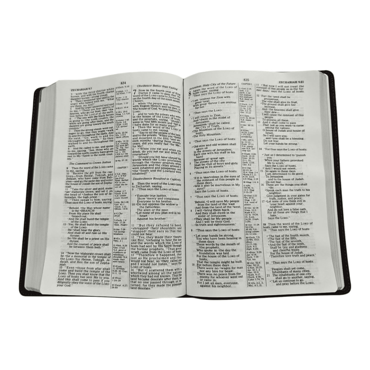 NKJV Large Print Ultrathin Bible, Leathersoft, Brown, Red Letter Edition, Comfort Print: Easy-to-Read Text in a Surprisingly Thin Design
