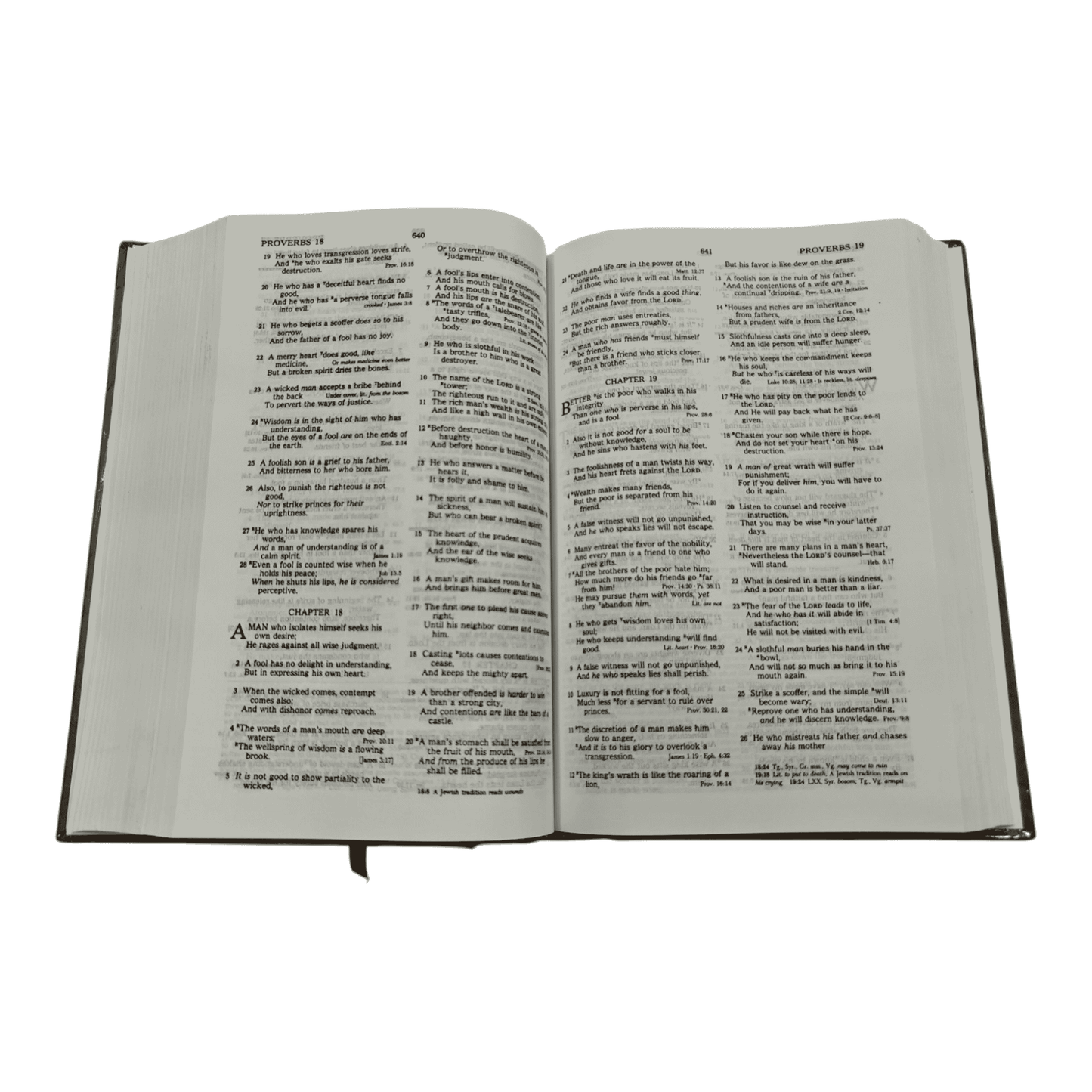 NKJV The Open Bible, Expanded Edition - Complete Study Reference System with Cross-References, Maps, and Reading Plans (ISBN: 494423427001)