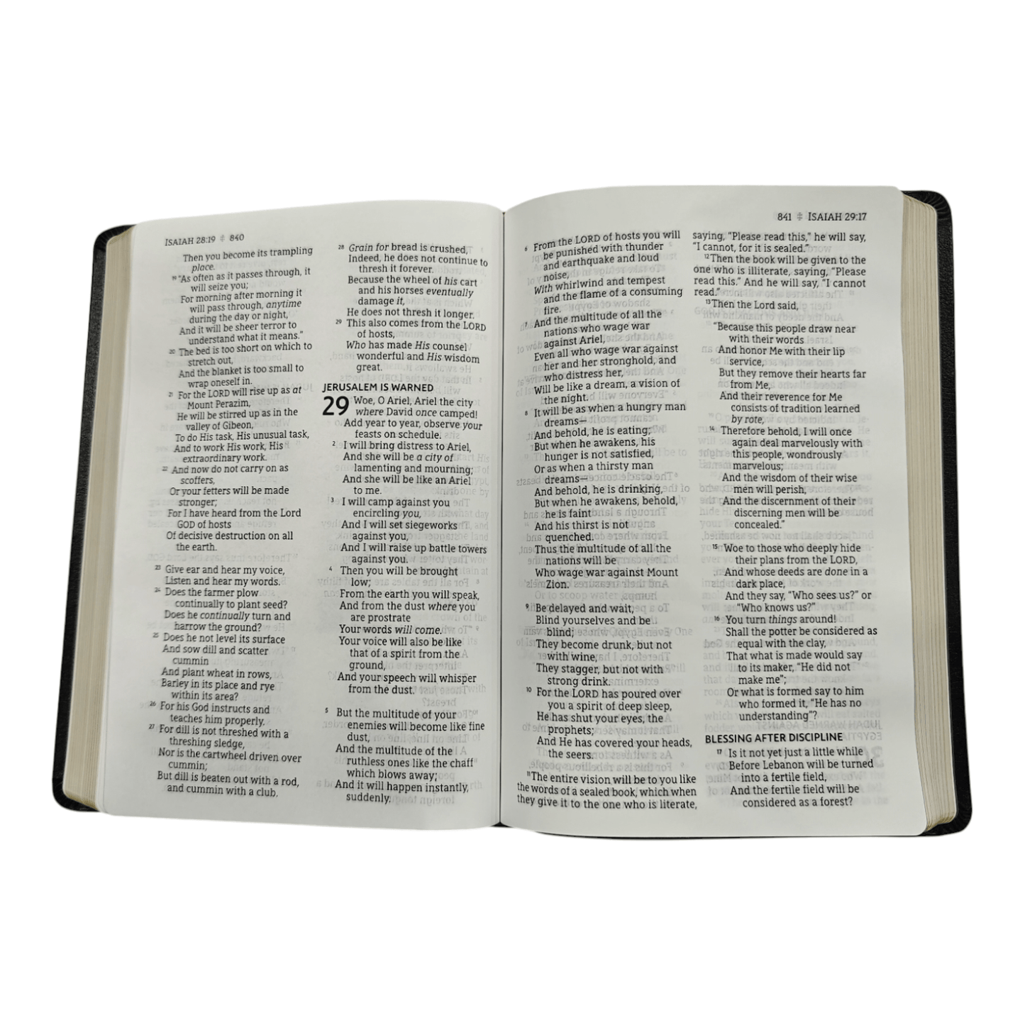 NASB Thinline Bible Standard Edition: New American Standard Bible, Portable Hardcover, Black