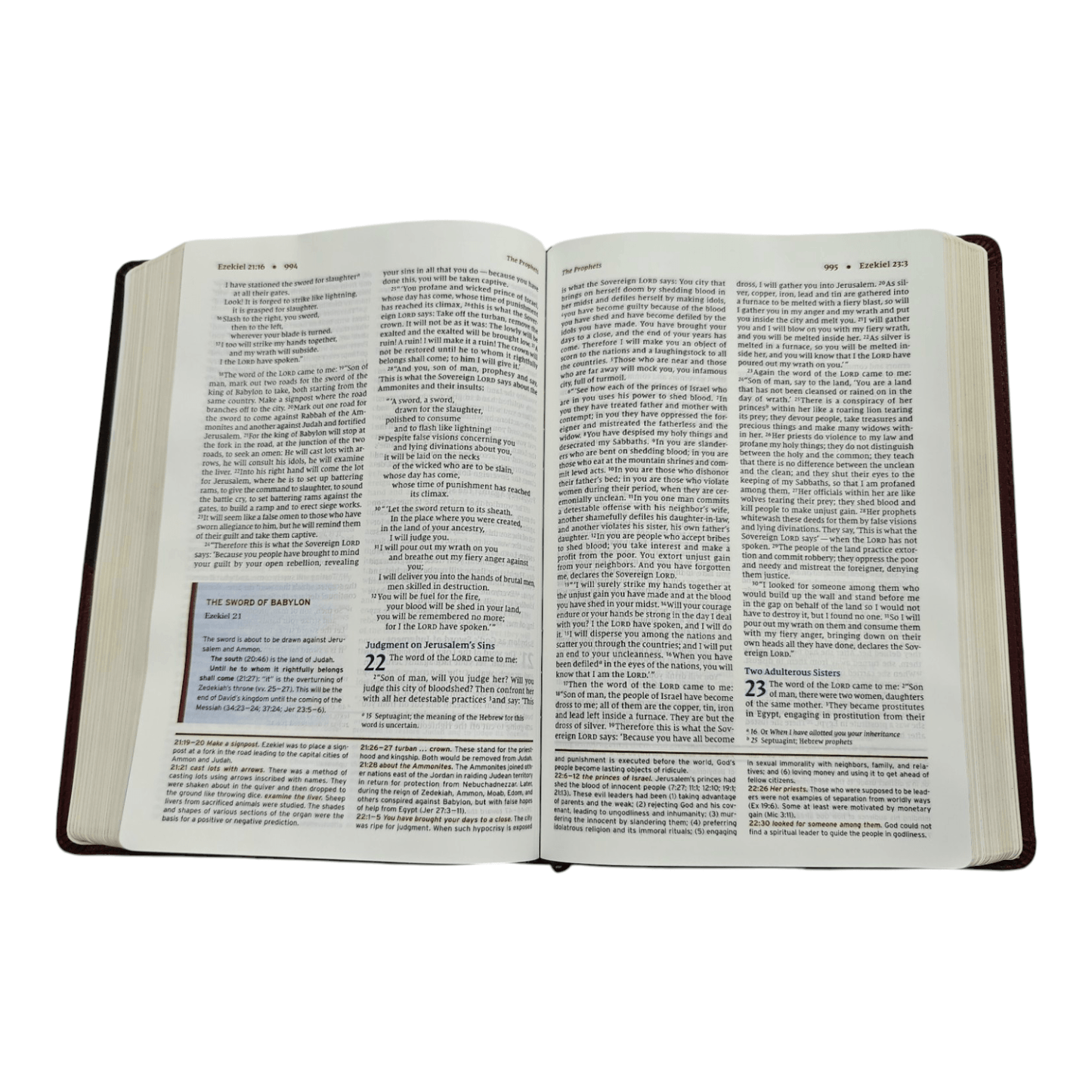 NIV Halley's Study Bible: New International Version with Study Notes, Maps, and Historical Insights, Hardcover