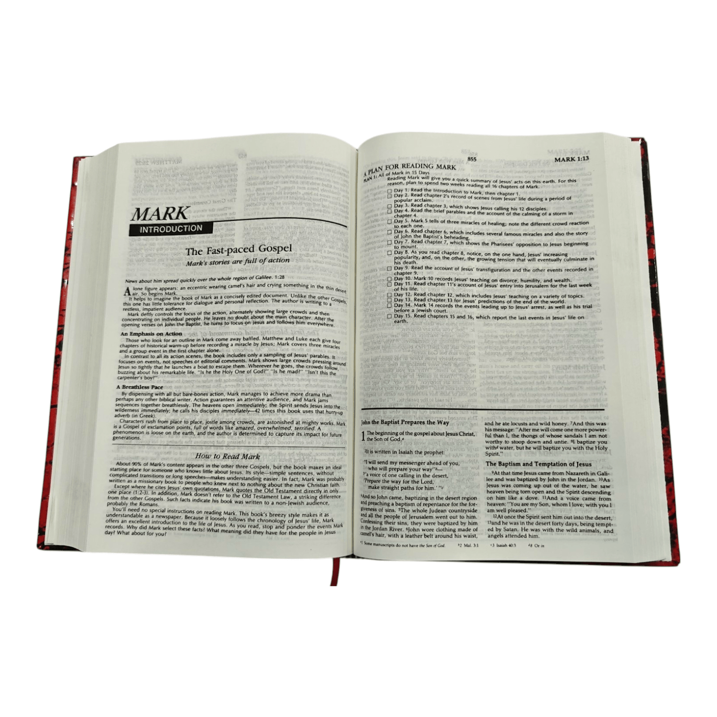 NIV The Family Devotional Study Bible: Inspiring Family Worship with Devotionals, Study Notes, and Activities