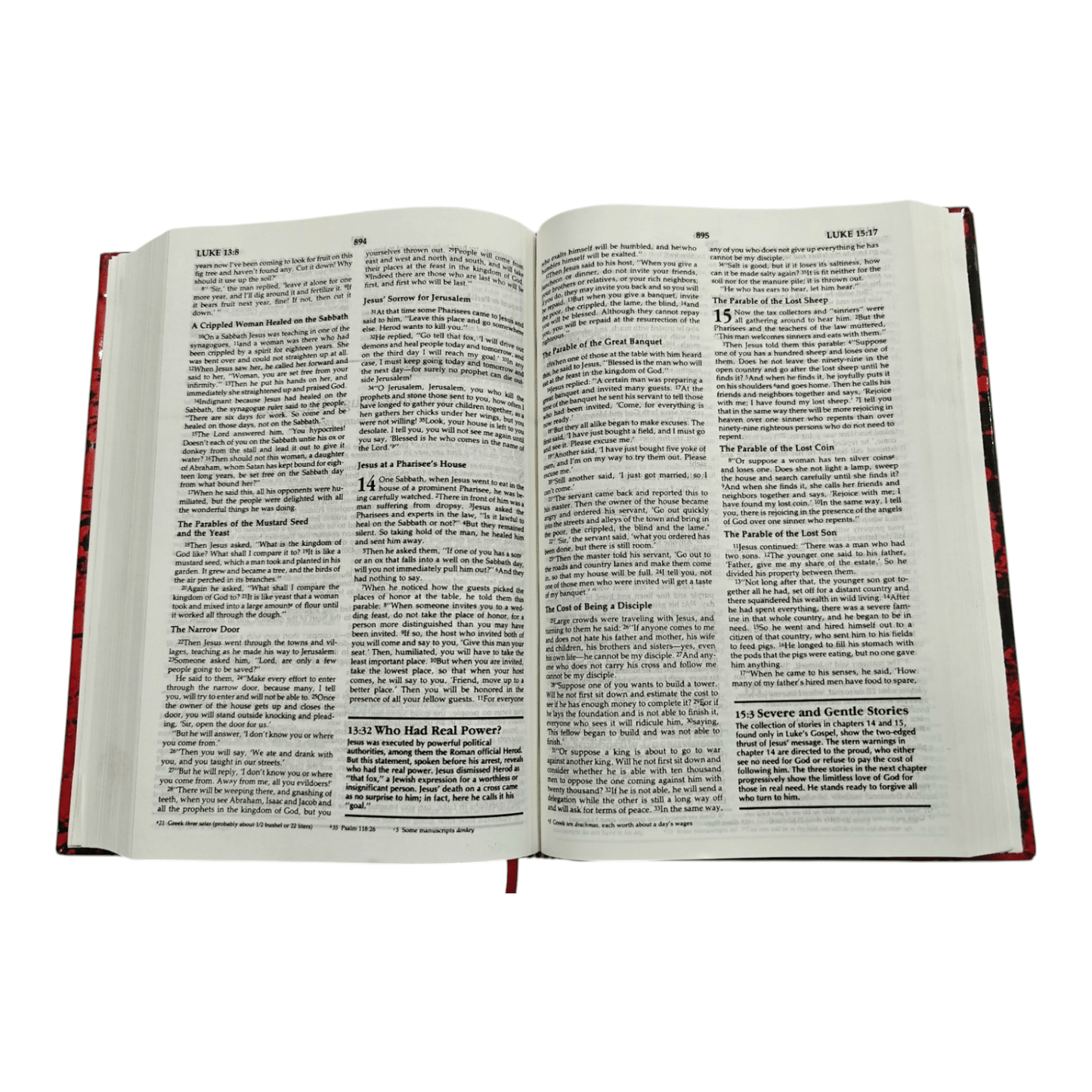 NIV The Family Devotional Study Bible: Inspiring Family Worship with Devotionals, Study Notes, and Activities