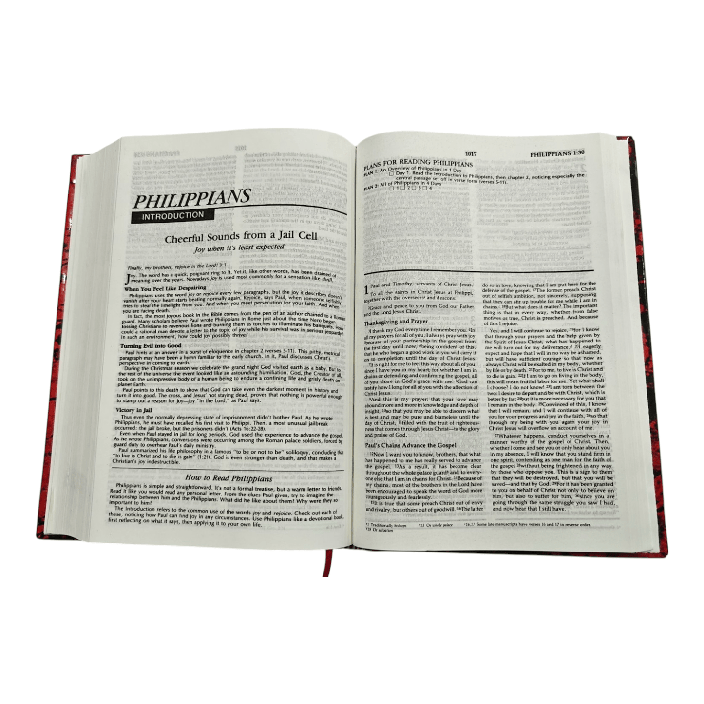 NIV The Family Devotional Study Bible: Inspiring Family Worship with Devotionals, Study Notes, and Activities