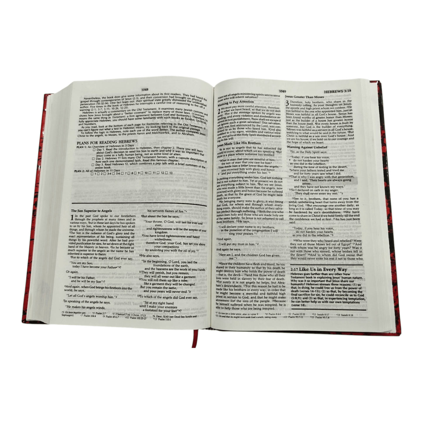 NIV The Family Devotional Study Bible: Inspiring Family Worship with Devotionals, Study Notes, and Activities