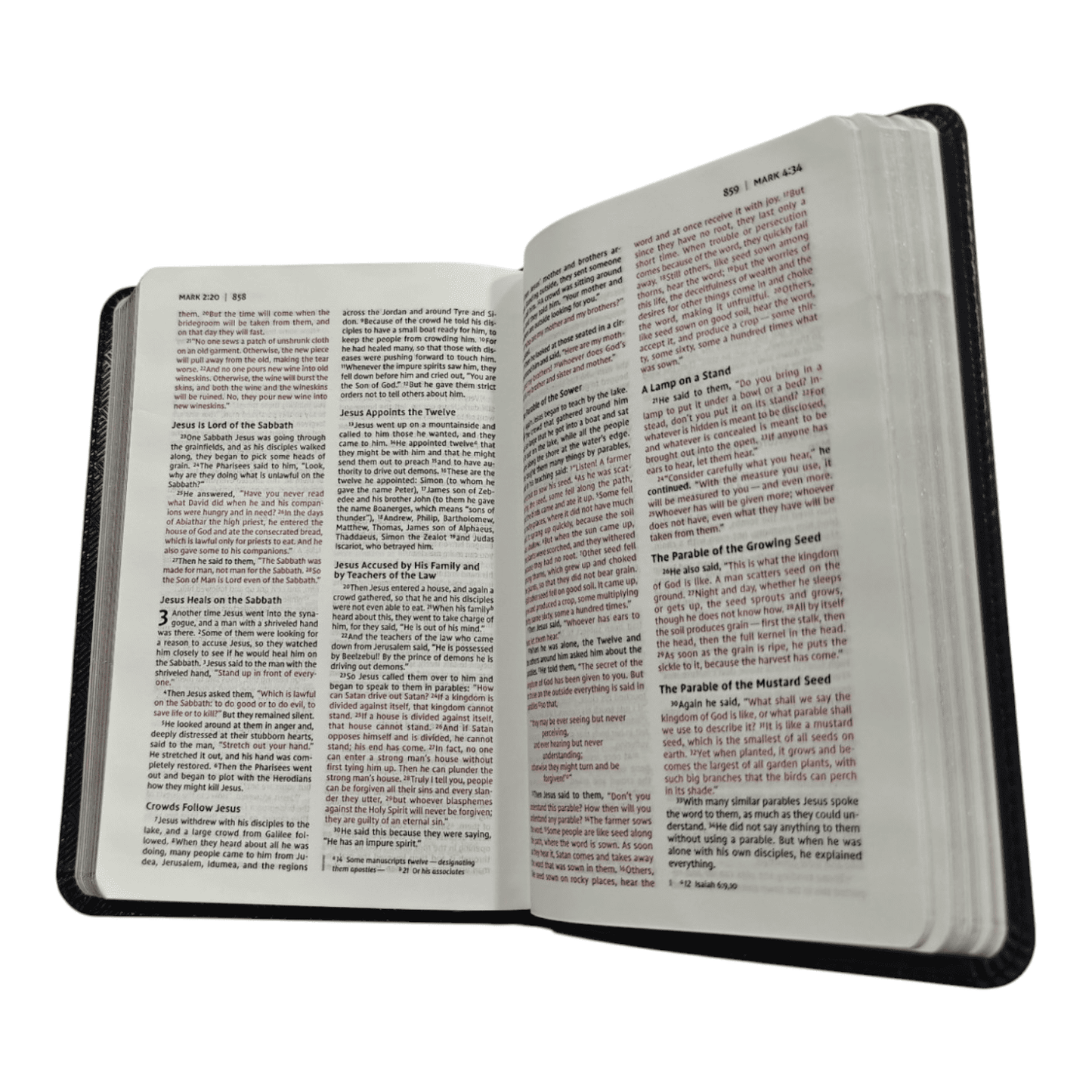 NIV Thinline Bible Compact: New International Version, Portable Softcover, Black