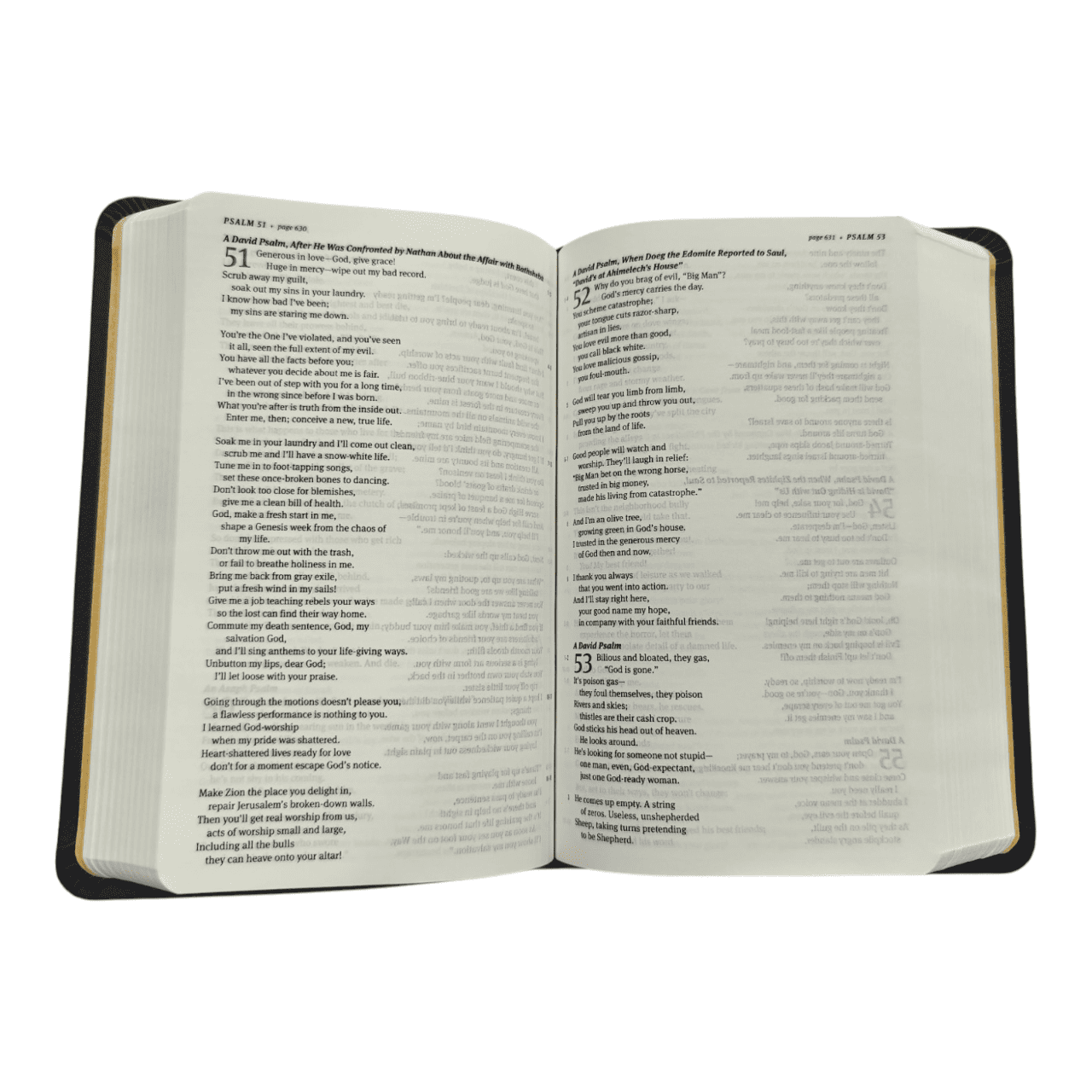 The Message Compact Bible, Hardcover: A Contemporary Reading Bible in a Portable Size, Perfect for Everyday Carry