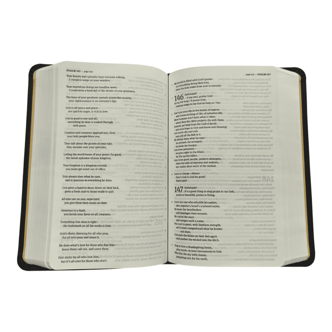 The Message Compact Bible, Hardcover: A Contemporary Reading Bible in a Portable Size, Perfect for Everyday Carry