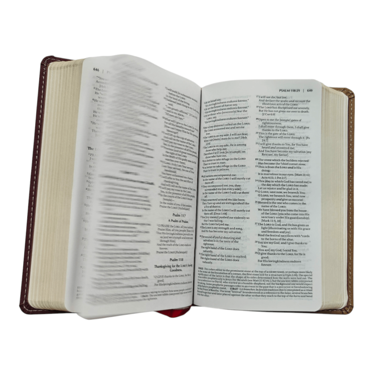 Amplified Holy Bible, Compact Edition, Leathersoft Tan/Burgundy - Expanded Translation Capturing Nuances of Original Greek and Hebrew for Deeper Study (ISBN: 9780310444008)
