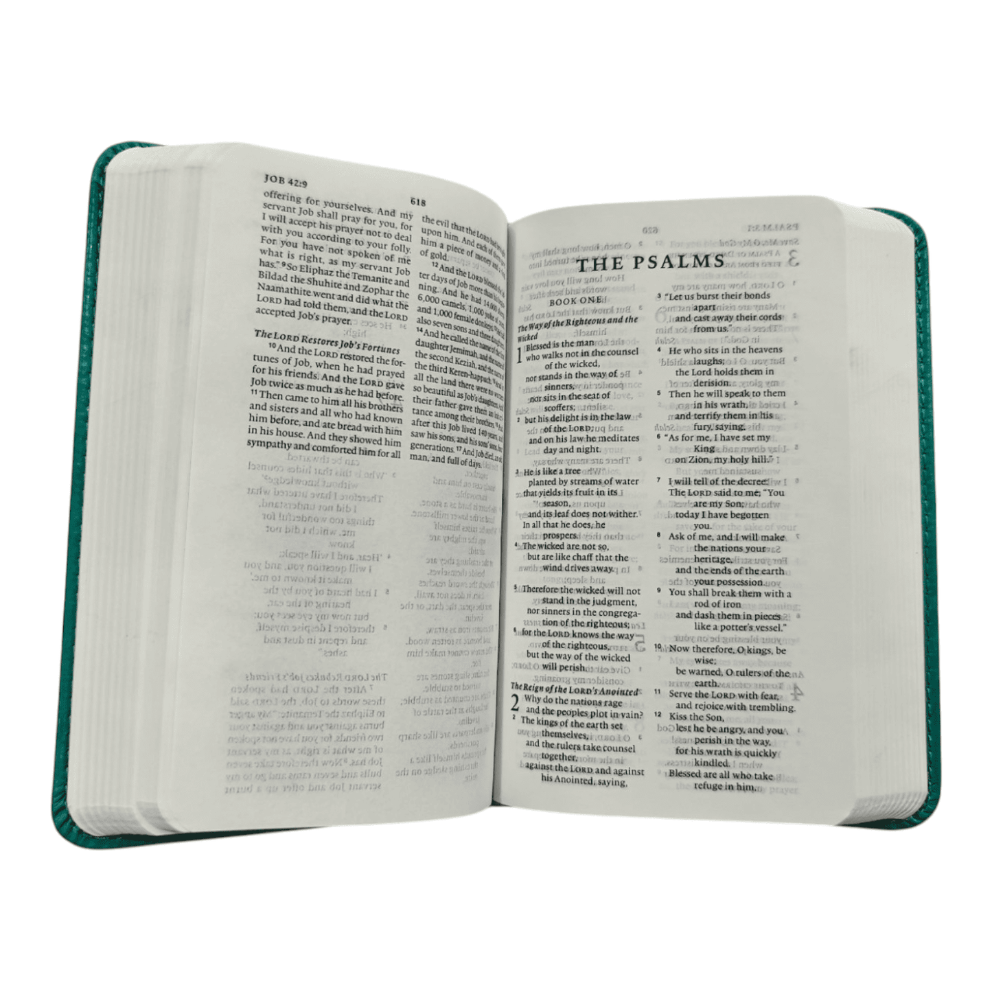 ESV Pocket Bible, TruTone Turquoise with Emblem Design - Smallest Complete English Standard Version Holy Bible for On-the-Go Reading and Memorization (ISBN: 9781433581687)