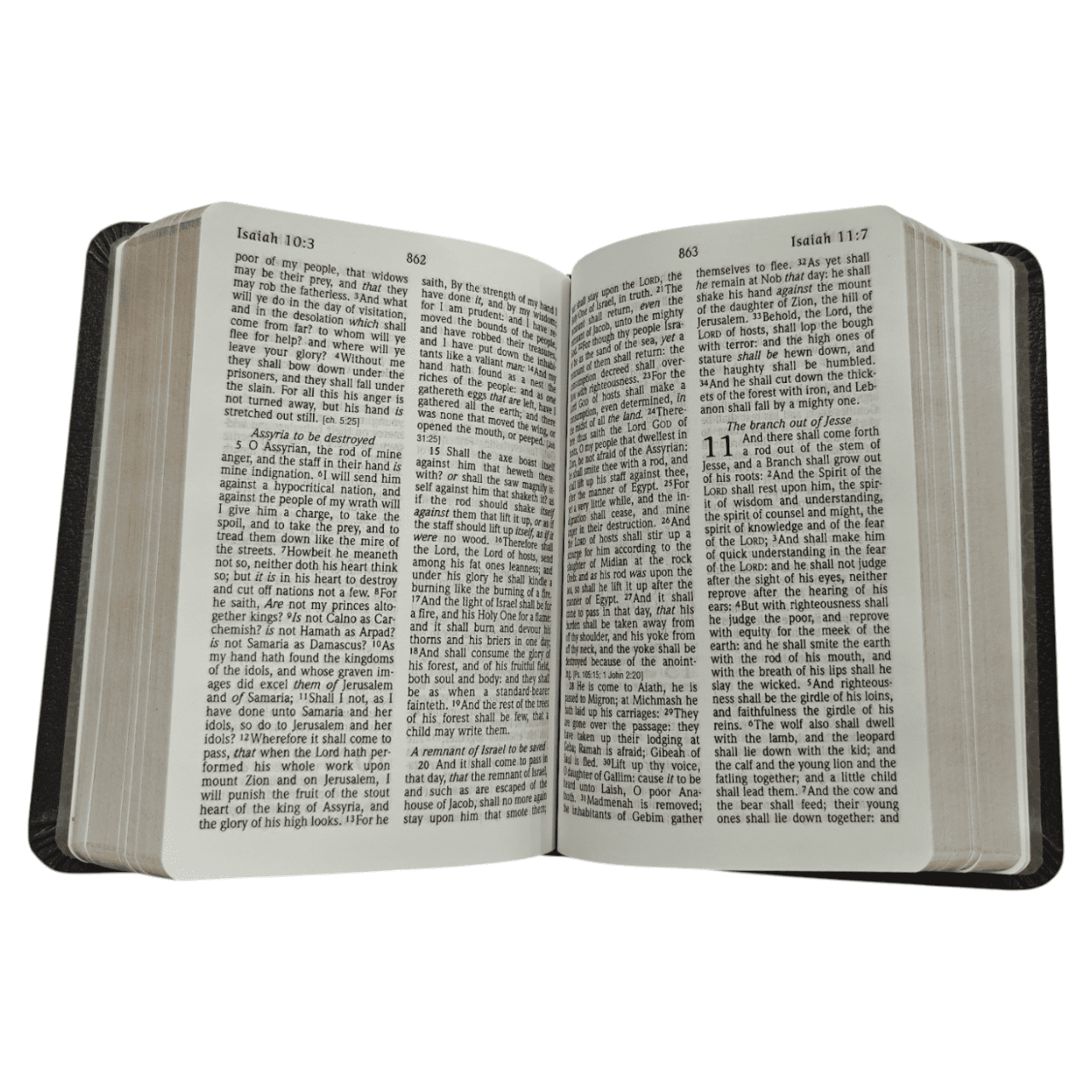 KJV Large Print Compact Reference Bible, Bonded Leather Burgundy, Red Letter Edition - Portable King James Version Holy Bible with Study Aids and Maps (ISBN: 9781598565591)