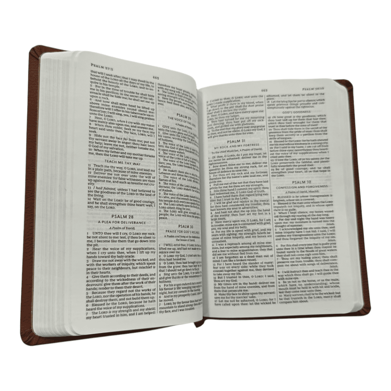 KJV Value Compact Thinline Bible, Brown LeatherTouch - Portable King James Version Holy Bible with Red Letter Edition and Full-Color Maps (ISBN: 9780575998612)
