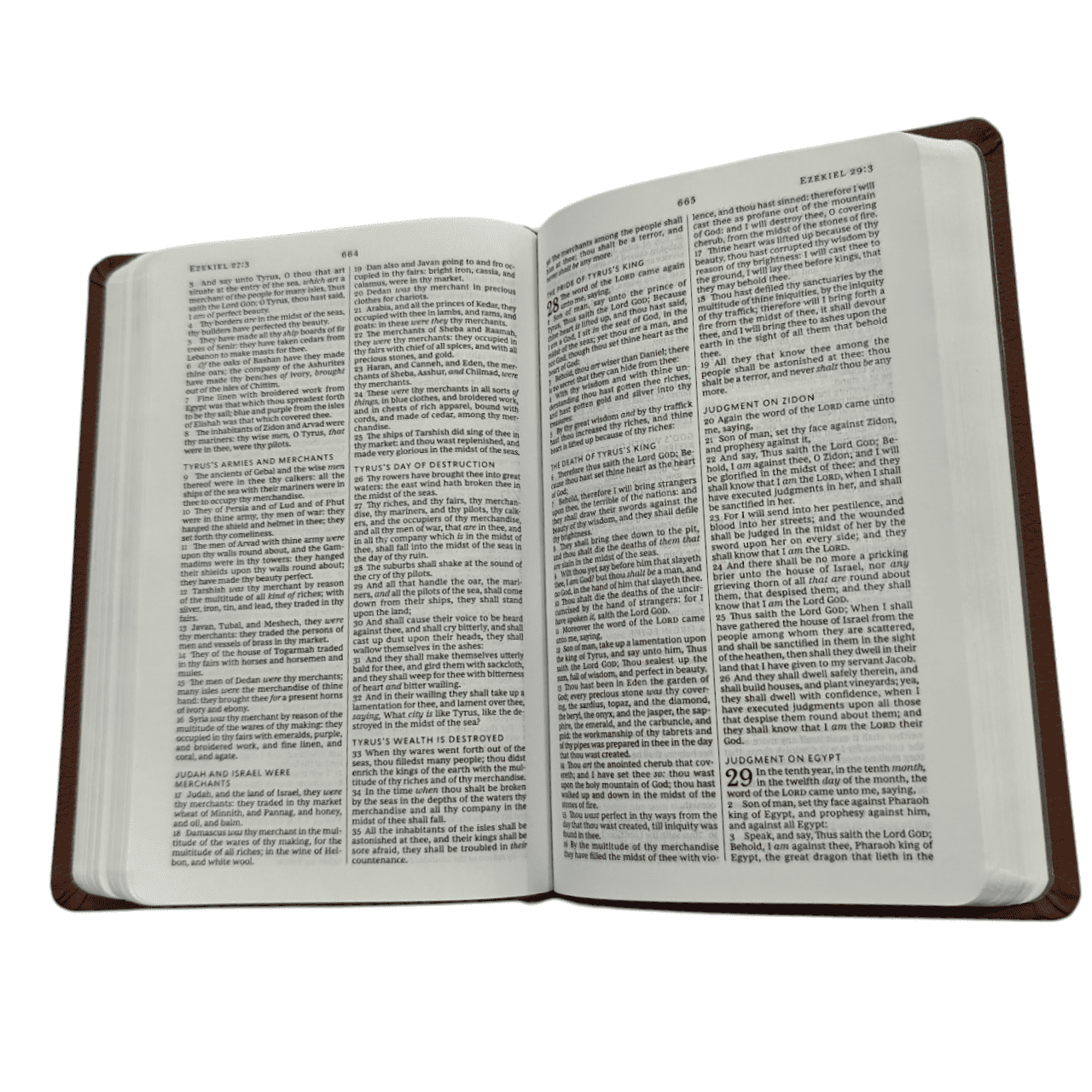 KJV Value Compact Thinline Bible, Brown LeatherTouch - Portable King James Version Holy Bible with Red Letter Edition and Full-Color Maps (ISBN: 9780575998612)