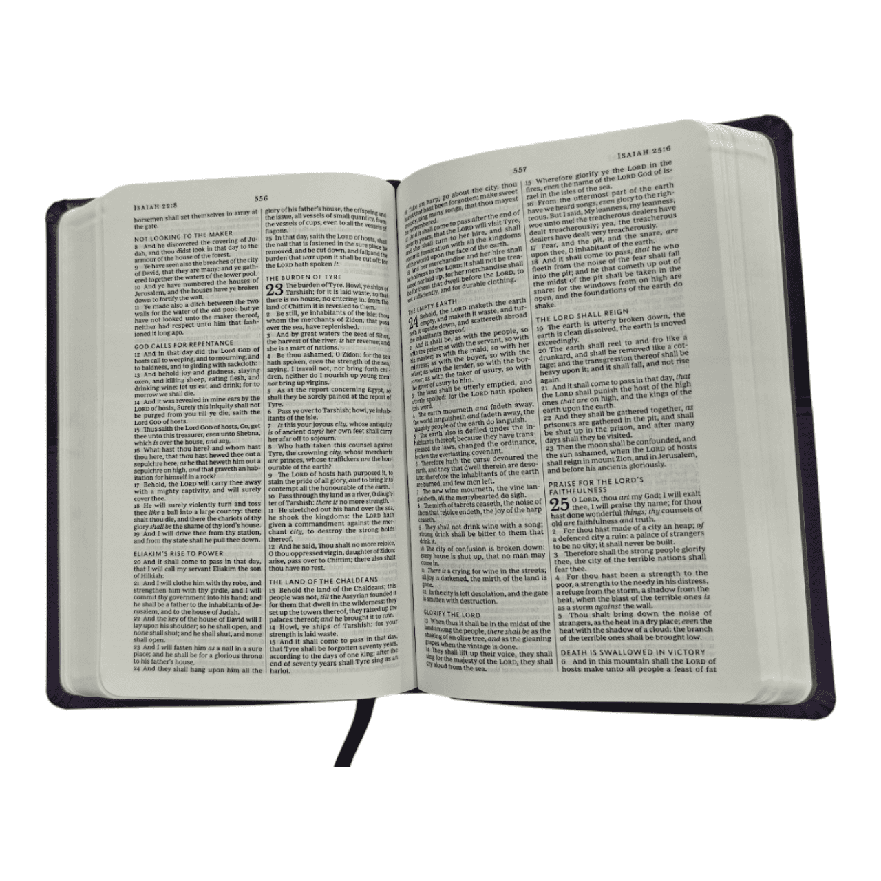KJV Value Compact Thinline Bible, Leathersoft Black, Red Letter Edition - Affordable Portable King James Version with Study Aids (ISBN: 9780718098032)