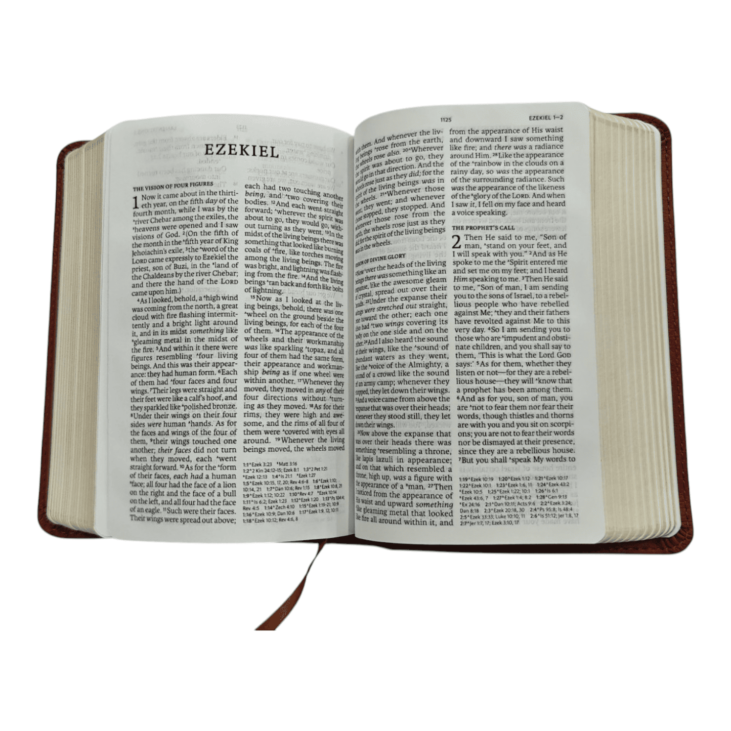 NASB Large Print Compact Reference Bible, Burnt Sienna LeatherTouch, Red Letter Edition - Portable New American Standard Version Holy Bible with Cross-References and Maps (ISBN: 9781087765709)