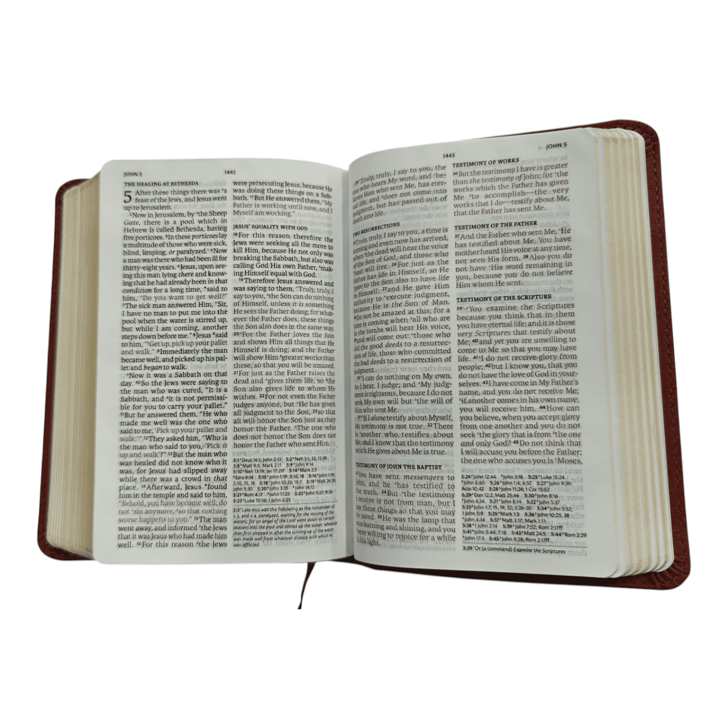 NASB Large Print Compact Reference Bible, Burnt Sienna LeatherTouch, Red Letter Edition - Portable New American Standard Version Holy Bible with Cross-References and Maps (ISBN: 9781087765709)
