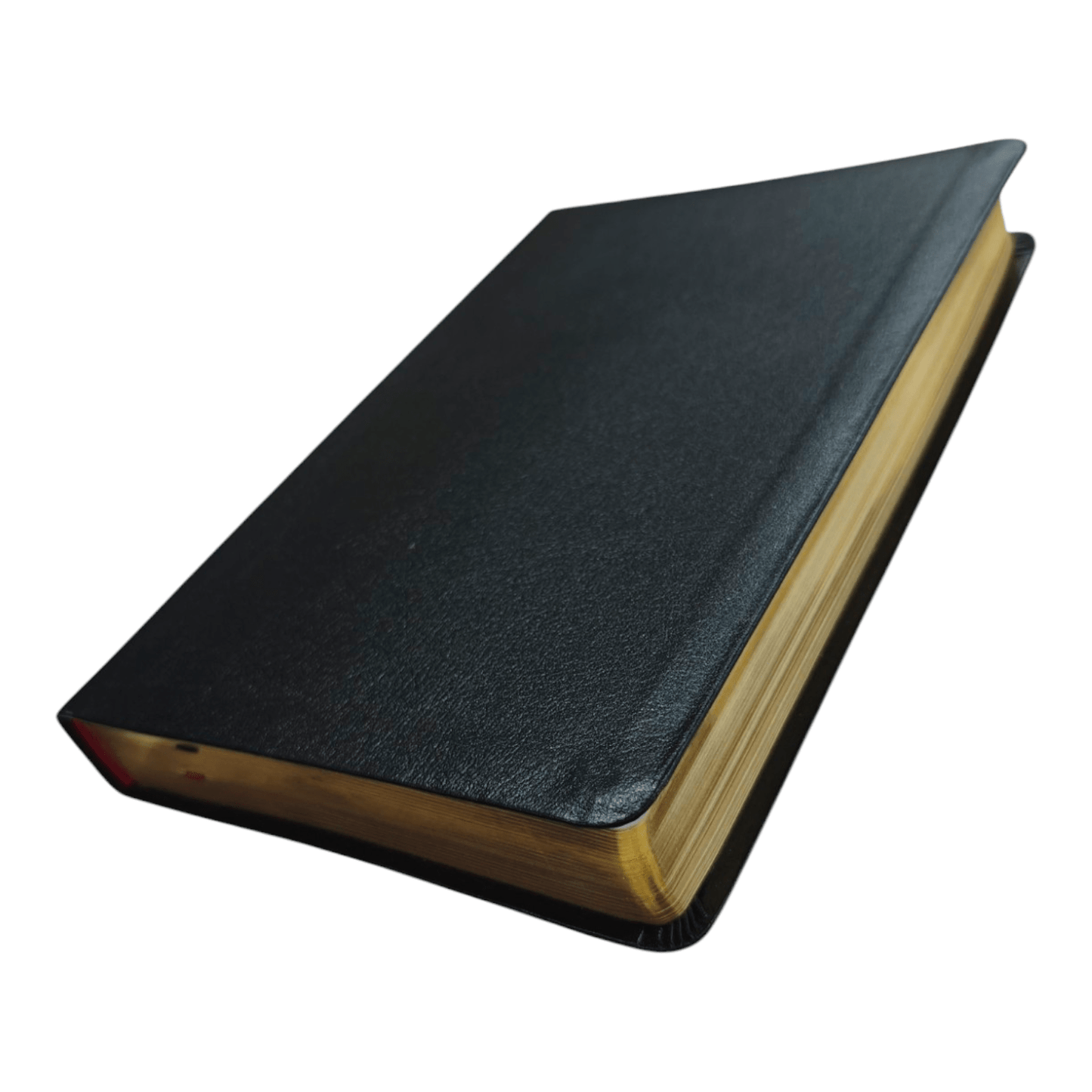 NASB Thinline Bible, Giant Print, Bonded Leather Black, Red Letter Edition - Portable New American Standard Bible, 1995 Text, Comfort Print for Easy Reading (ISBN: 9780310451075)