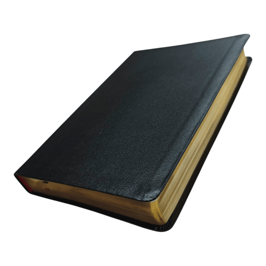 NASB Thinline Bible, Giant Print, Bonded Leather Black, Red Letter Edition - Portable New American Standard Bible, 1995 Text, Comfort Print for Easy Reading (ISBN: 9780310451075)