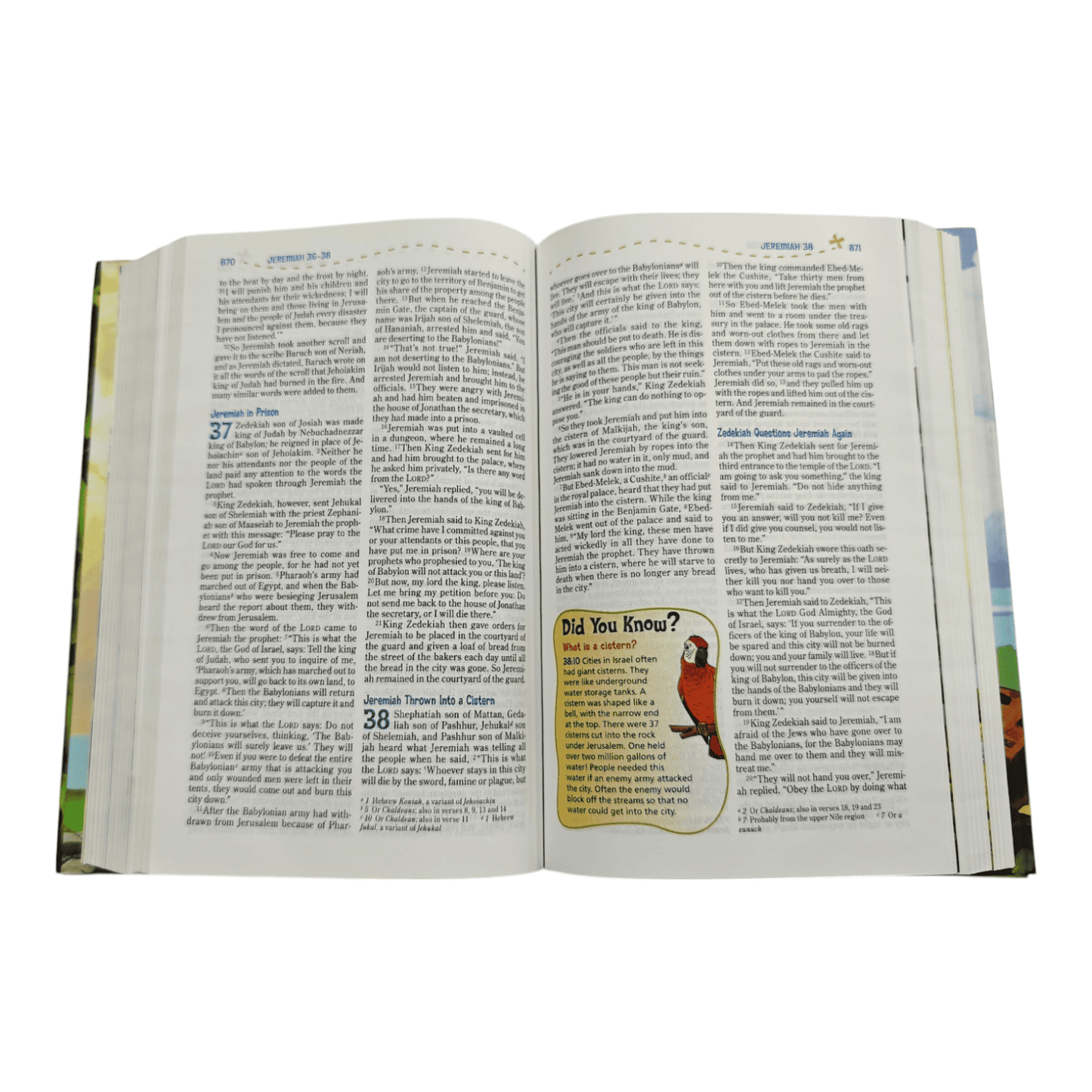 NIV Adventure Bible, Hardcover Full Color Edition - Engaging Kids' Bible with Features for Discovery and Faith (Ages 8-12) (ISBN: 9780310727477)