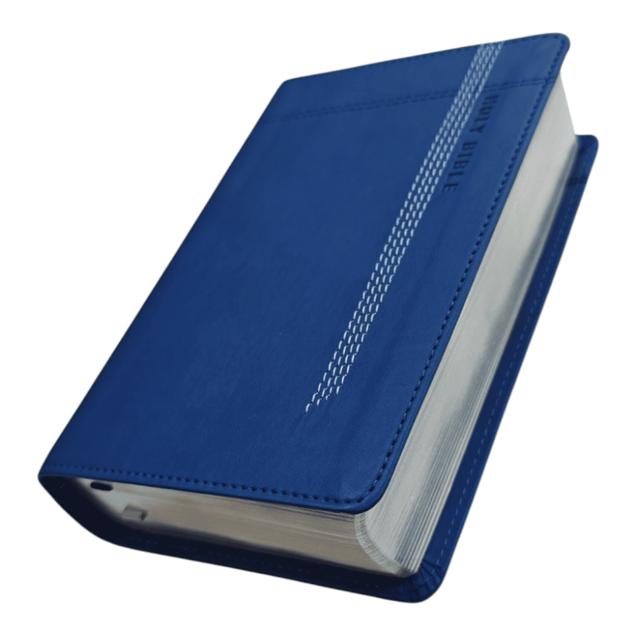 NIV Compact Reference Bible, Leathersoft Blue, Red Letter, Comfort Print - Portable New International Version Holy Bible with End-of-Paragraph References and Maps (ISBN: 9780310456896)