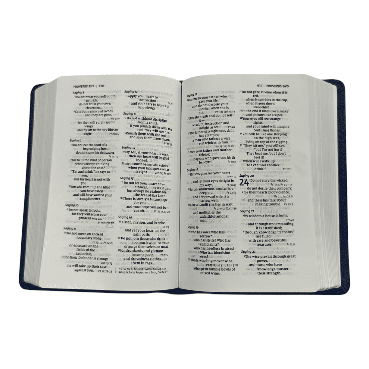NIV Compact Reference Bible, Leathersoft Blue, Red Letter, Comfort Print - Portable New International Version Holy Bible with End-of-Paragraph References and Maps (ISBN: 9780310456896)