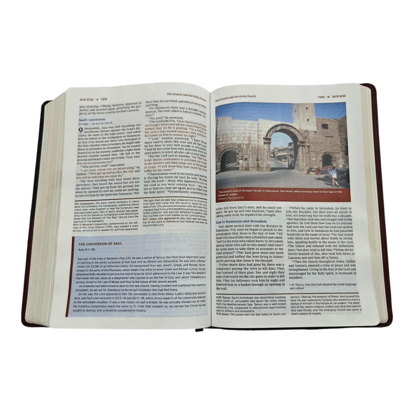 NIV Halley's Study Bible, Hardcover, Red Letter Edition, Comfort Print - Trusted Guide to Scripture with Articles, Notes, Charts, Maps, and Photos (ISBN: 9780310451495)