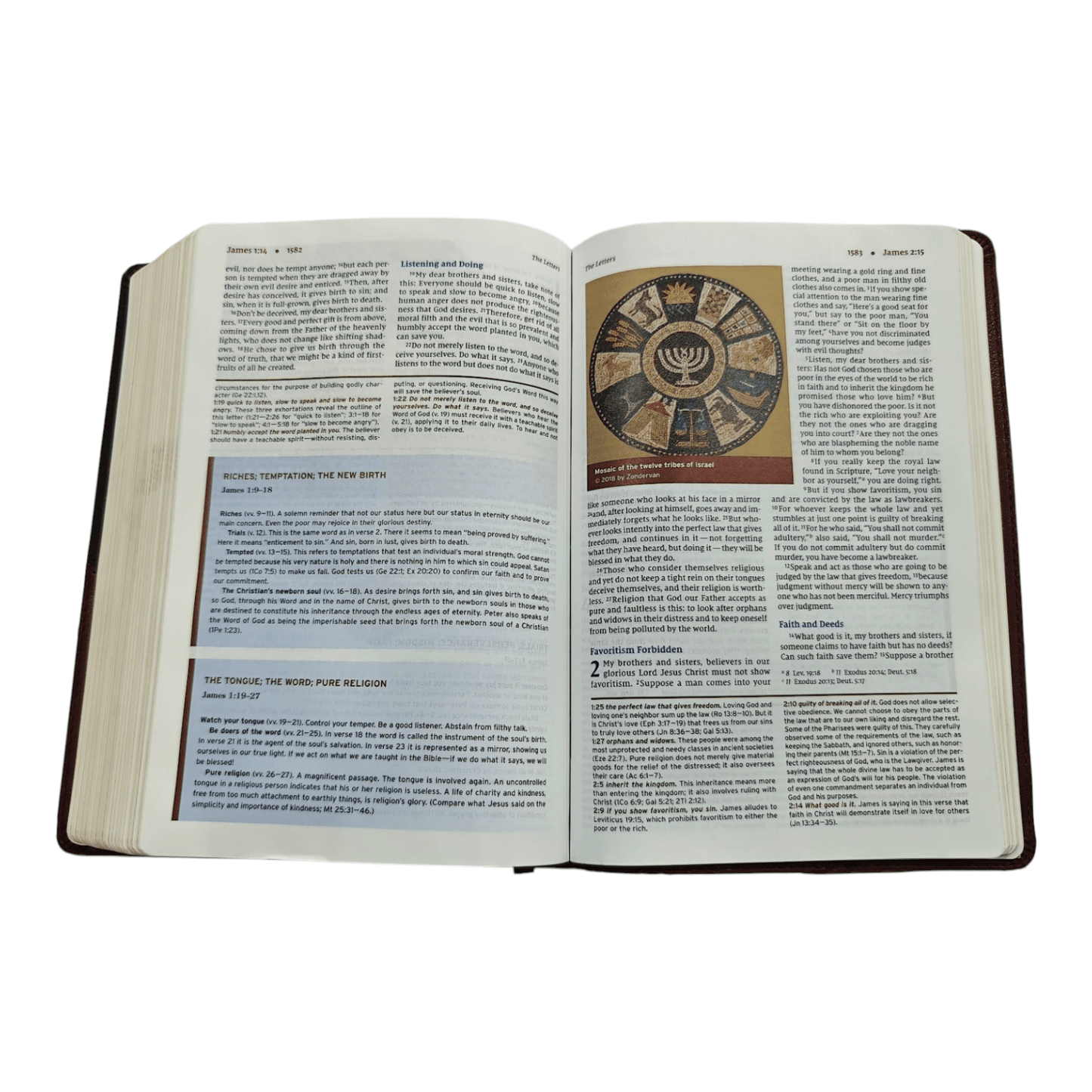 NIV Halley's Study Bible, Hardcover, Red Letter Edition, Comfort Print - Trusted Guide to Scripture with Articles, Notes, Charts, Maps, and Photos (ISBN: 9780310451495)