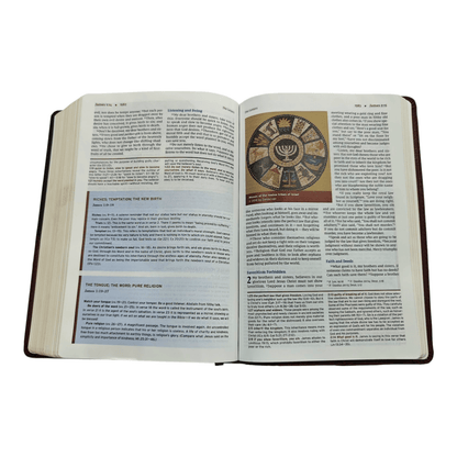 NIV Halley's Study Bible, Hardcover, Red Letter Edition, Comfort Print - Trusted Guide to Scripture with Articles, Notes, Charts, Maps, and Photos (ISBN: 9780310451495)