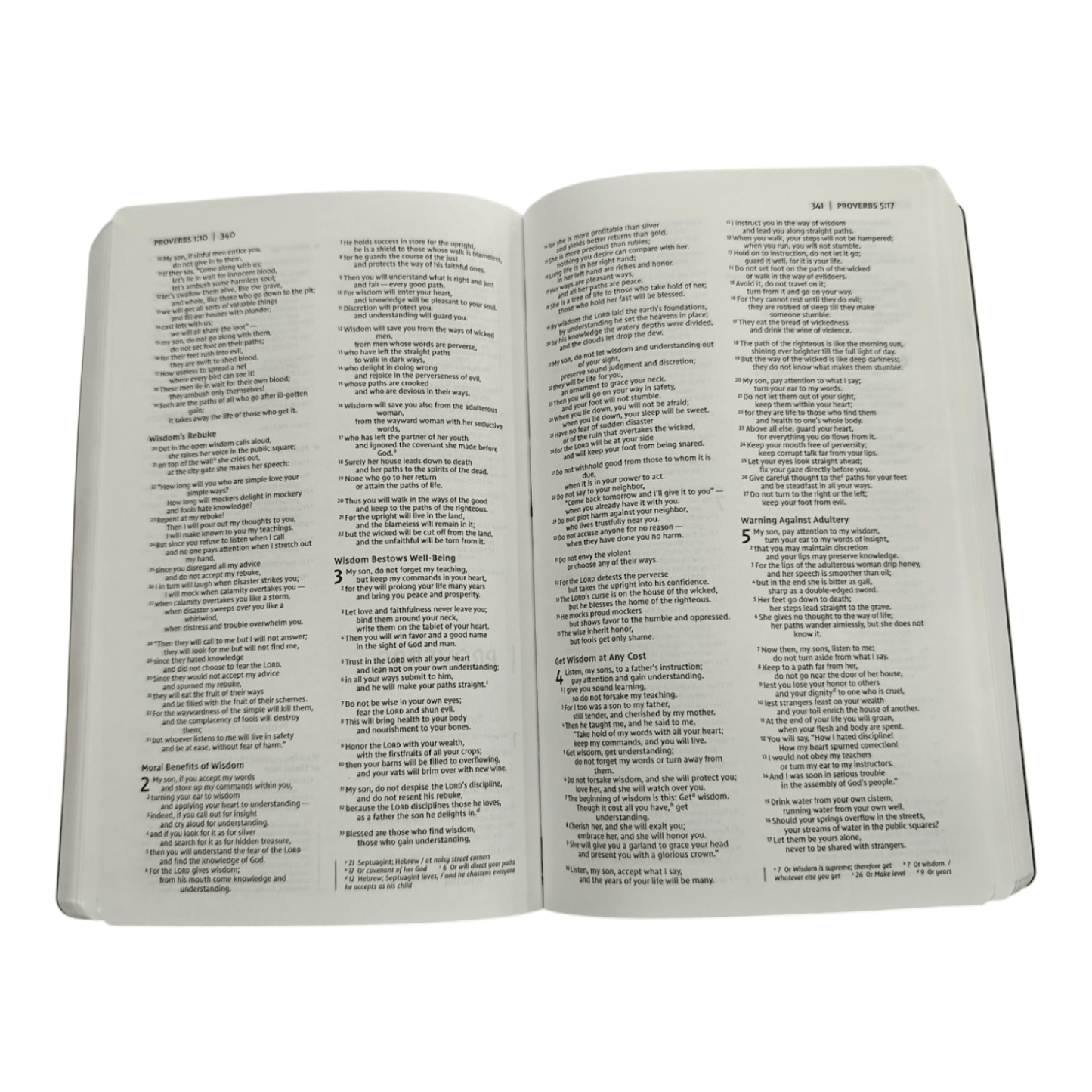 NIV Holy Bible, Soft Touch Edition, Leathersoft Brown, Red Letter, Comfort Print - Luxurious Portable New International Version Holy Bible for Daily Devotion and Gifting (ISBN: 9780310450474)