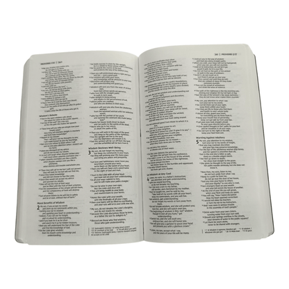 NIV Holy Bible, Soft Touch Edition, Leathersoft Brown, Red Letter, Comfort Print - Luxurious Portable New International Version Holy Bible for Daily Devotion and Gifting (ISBN: 9780310450474)