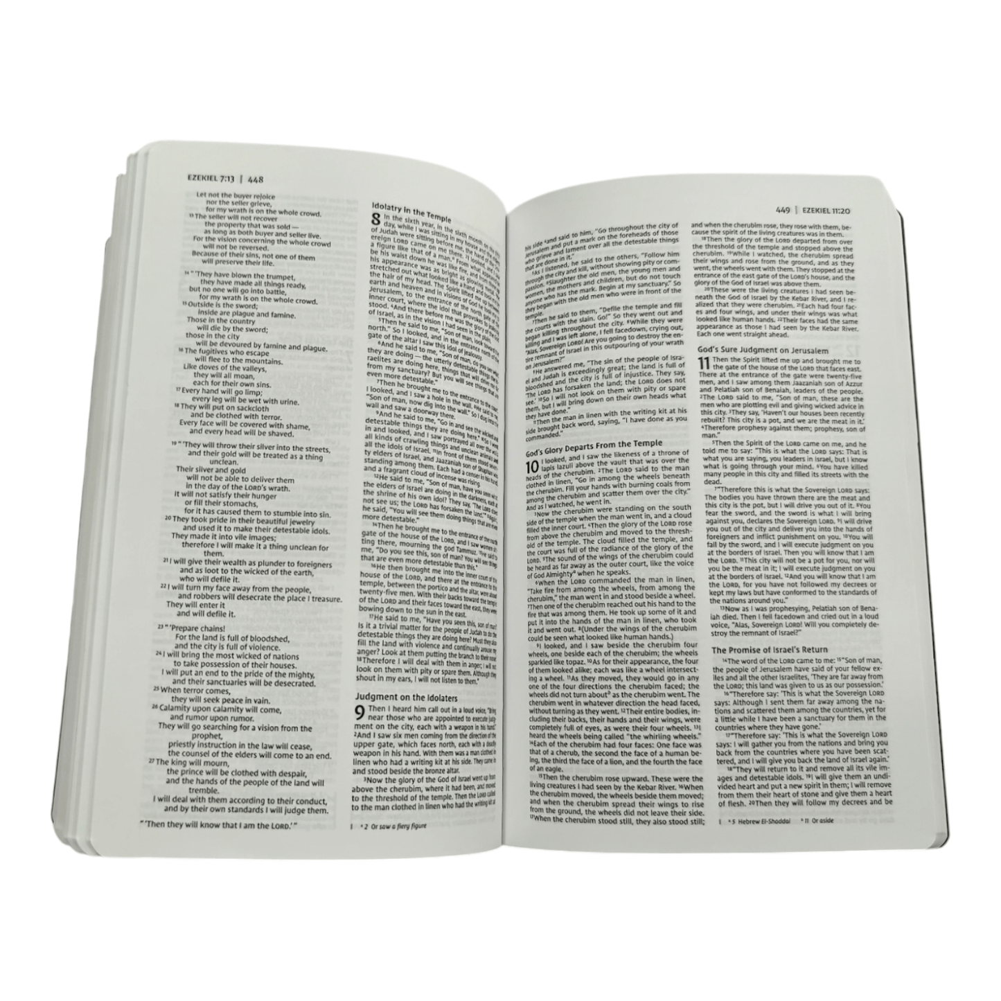 NIV Holy Bible, Soft Touch Edition, Leathersoft Brown, Red Letter, Comfort Print - Luxurious Portable New International Version Holy Bible for Daily Devotion and Gifting (ISBN: 9780310450474)