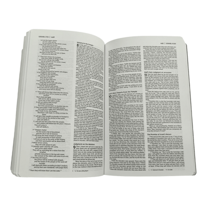 NIV Holy Bible, Soft Touch Edition, Leathersoft Brown, Red Letter, Comfort Print - Luxurious Portable New International Version Holy Bible for Daily Devotion and Gifting (ISBN: 9780310450474)