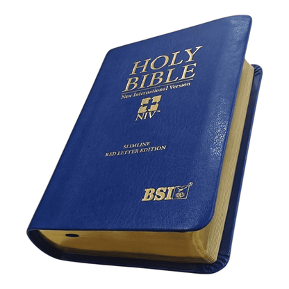 NIV Holy Compact Bible, Paperback Black - Portable New International Version Holy Bible for Travel and Daily Devotion (ISBN: 9780866602747)