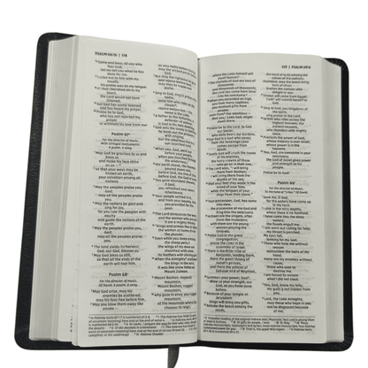 NIV Pocket Thinline Bible, Bonded Leather Black, Red Letter, Comfort Print - Ultra-Portable New International Version Holy Bible for Everyday Reading and Travel (ISBN: 9780310458166)