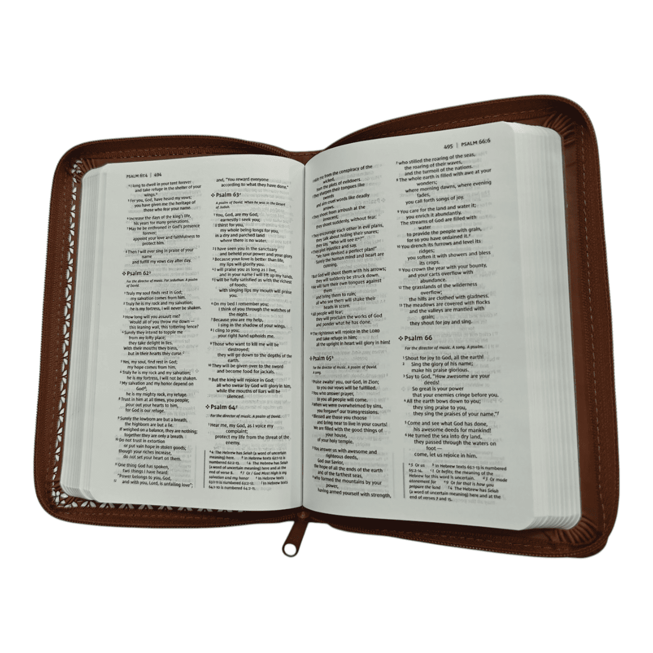 NIV Thinline Bible, Compact, Leathersoft Brown, Red Letter, Comfort Print - Portable NIV Bible for Everyday Devotion (ISBN: 9780310463375)