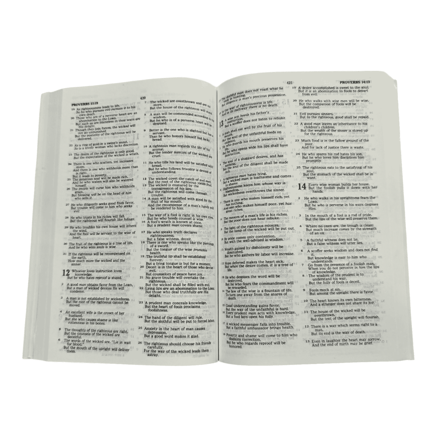 NKJV Bible with Dictionary and Concordance, Hardcover, Black, Red Letter Edition: Complete Study Bible for Deepening Your Understanding of Scripture