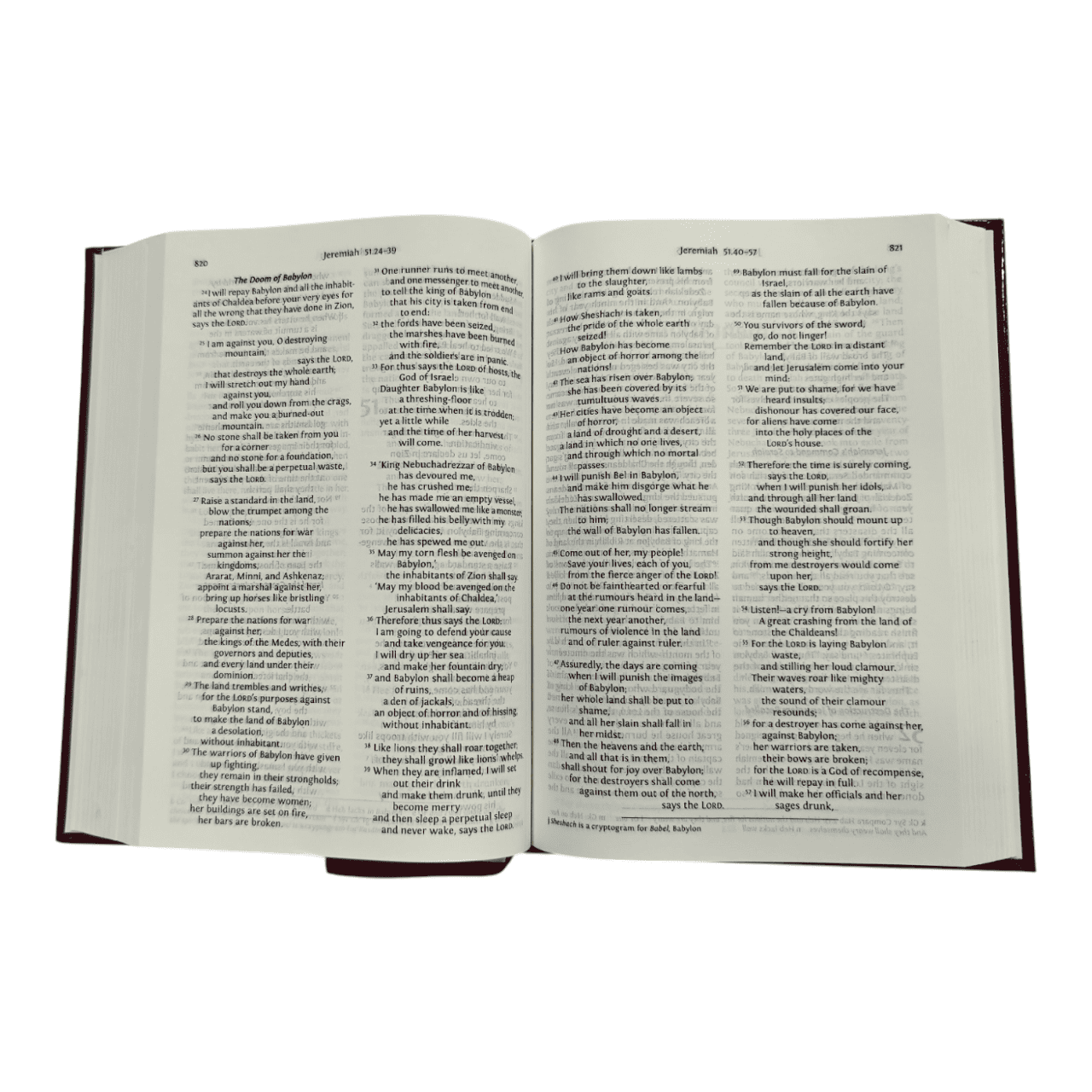 NRSV Bible with Concordance, Black Bonded Leather - Complete New Revised Standard Version Holy Bible with Integrated Reference Concordance (ISBN: 9780564033478)