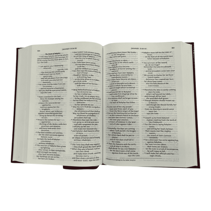 NRSV Bible with Concordance, Black Bonded Leather - Complete New Revised Standard Version Holy Bible with Integrated Reference Concordance (ISBN: 9780564033478)