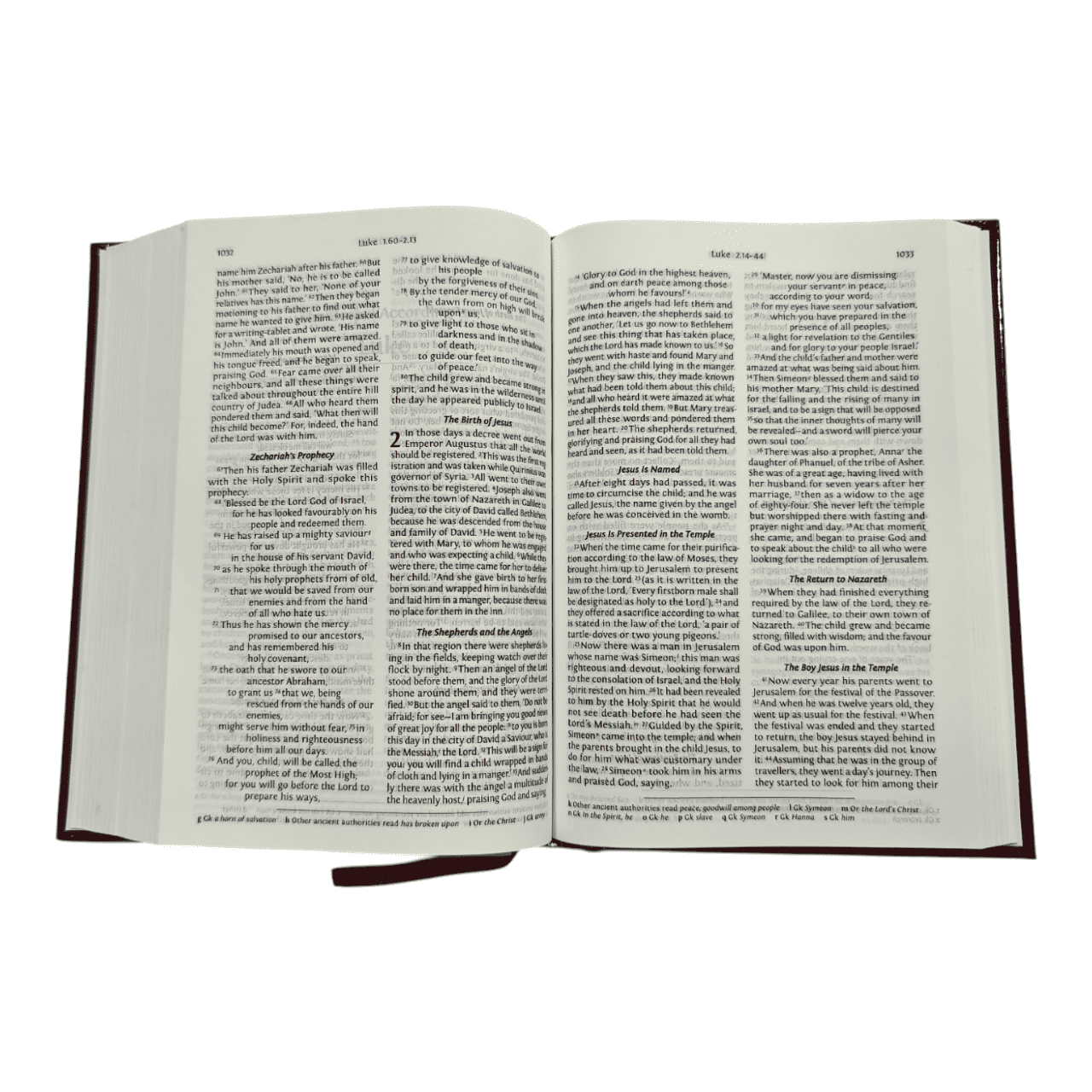 NRSV Bible with Concordance, Black Bonded Leather - Complete New Revised Standard Version Holy Bible with Integrated Reference Concordance (ISBN: 9780564033478)