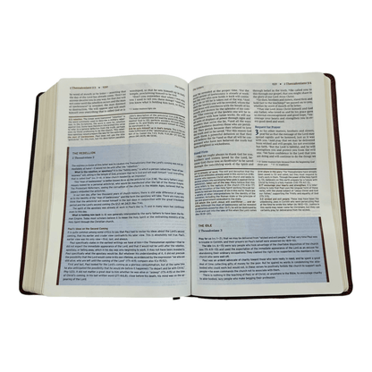 NIV Halley's Study Bible: New International Version with Study Notes, Maps, and Historical Insights, Hardcover