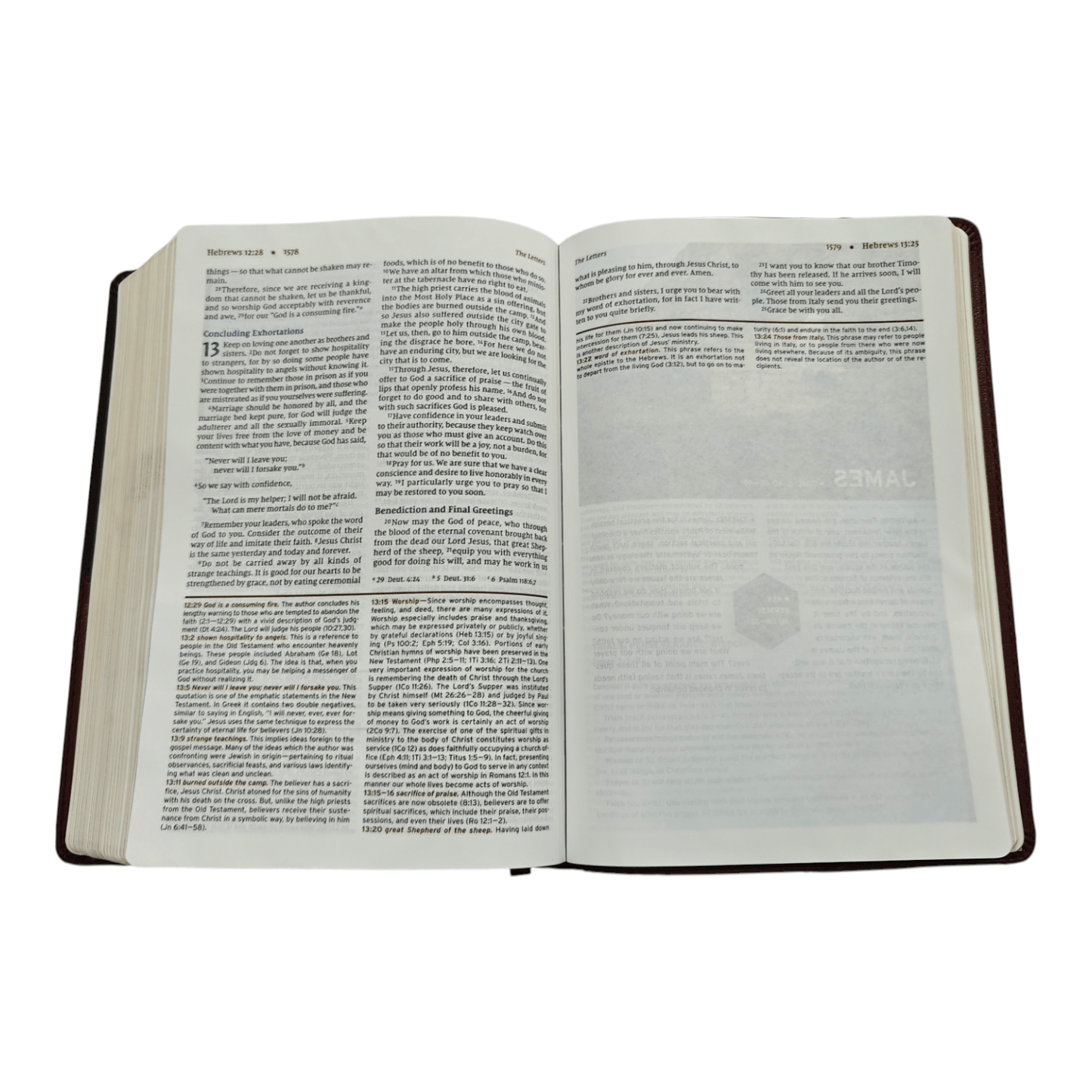 NIV Halley's Study Bible: New International Version with Study Notes, Maps, and Historical Insights, Hardcover