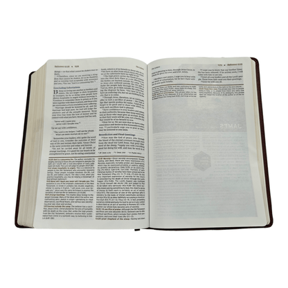 NIV Halley's Study Bible: New International Version with Study Notes, Maps, and Historical Insights, Hardcover